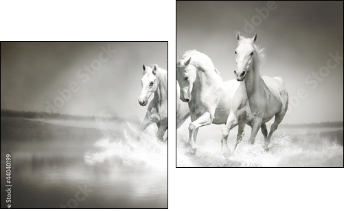 Herd of white horses running through water  - Obraz dwuczęściowy, Dyptyk