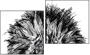 Sketch of a big male African lion  - Obraz dwuczęściowy, Dyptyk