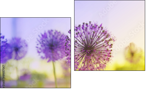 Flowering Onion  - Obraz dwuczęściowy, Dyptyk