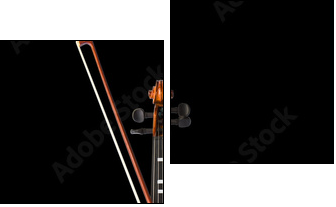 Violin  - Obraz dwuczęściowy, Dyptyk