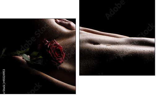 Nackter Bauch mit Rose  - Obraz dwuczęściowy, Dyptyk