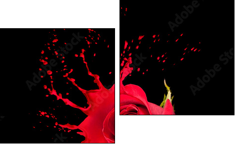 red rose splashes  - Obraz dwuczęściowy, Dyptyk