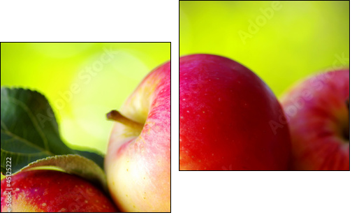 Aksamitna słodycz - dojrzałe jabłka - Obraz dwuczęściowy, Dyptyk