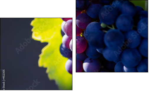 Dojrzewające wino – zoom na winnice
 - Obraz dwuczęściowy, Dyptyk