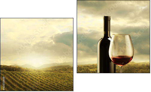 Vineyard at sunset  - Obraz dwuczęściowy, Dyptyk
