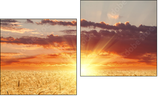 Wheat field at sunset  - Obraz dwuczęściowy, Dyptyk