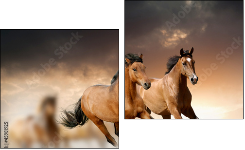 Mustang w dzikiej dolinie - Obraz dwuczęściowy, Dyptyk