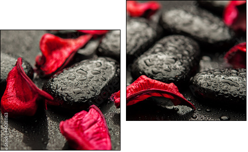 background spa. black stones and red petals with water droplets  - Obraz dwuczęściowy, Dyptyk