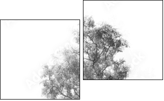 Nature and the human form  - Obraz dwuczęściowy, Dyptyk
