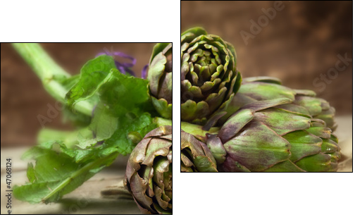 Carciofi - Artichokes  - Obraz dwuczęściowy, Dyptyk