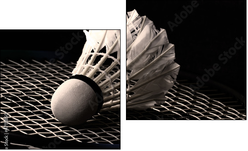 Shuttlecock on badminton racket  - Obraz dwuczęściowy, Dyptyk