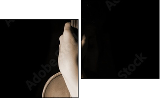old violin  - Obraz dwuczęściowy, Dyptyk