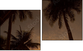 Palmowy hamak
 - Obraz dwuczęściowy, Dyptyk