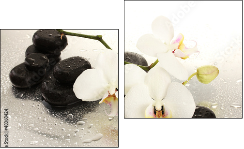 Spa stones and orchid flowers, isolated on white.  - Obraz dwuczęściowy, Dyptyk