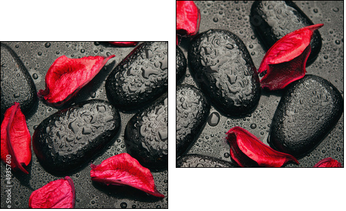 background spa. black stones and red petals with water droplets  - Obraz dwuczęściowy, Dyptyk