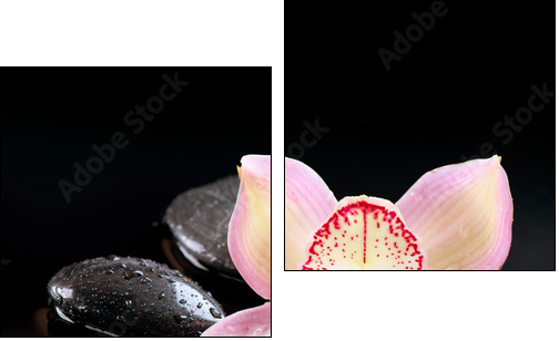 Zen Stones and Orchid Flower. Stone Massage  - Obraz dwuczęściowy, Dyptyk
