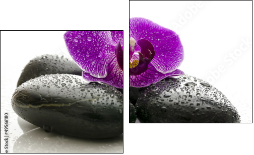 Violet orchid on black spa stones with water drops  - Obraz dwuczęściowy, Dyptyk