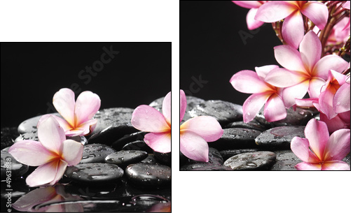 Set of frangipani with zen stones  - Obraz dwuczęściowy, Dyptyk