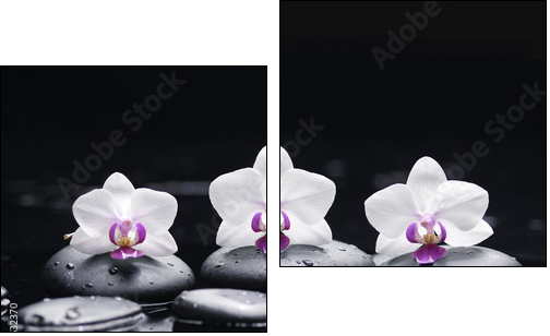 orchid flower and stones in water drops  - Obraz dwuczęściowy, Dyptyk