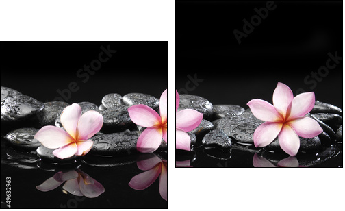 Set of three frangipani and black pebbles  - Obraz dwuczęściowy, Dyptyk