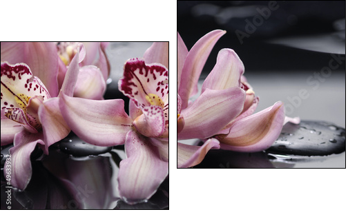 spa concept âgorgeous pink orchid and zen stones  - Obraz dwuczęściowy, Dyptyk