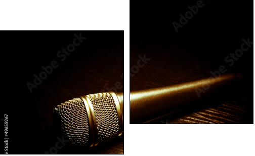 Dark microphone  - Obraz dwuczęściowy, Dyptyk