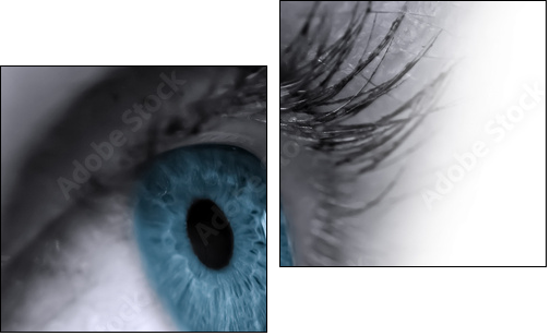 Auge im Wasser gespiegelt  - Obraz dwuczęściowy, Dyptyk