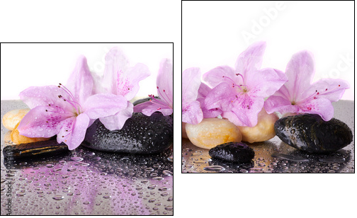 Pink flowers and black stones  - Obraz dwuczęściowy, Dyptyk