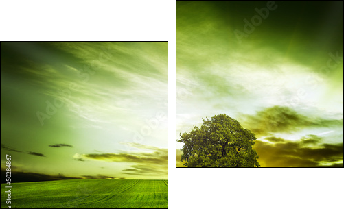 Green nature  - Obraz dwuczęściowy, Dyptyk