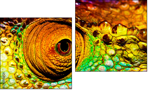 Reptilian eye  - Obraz dwuczęściowy, Dyptyk