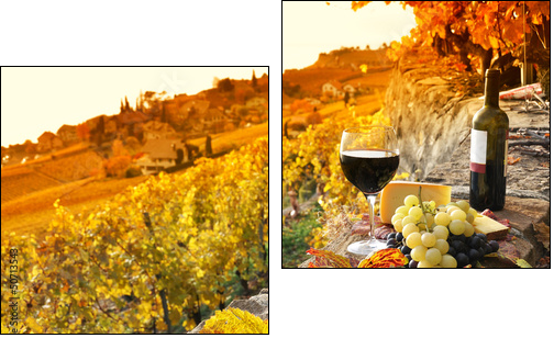 Glass of red wine on the terrace vineyard in Lavaux region, Swit  - Obraz dwuczęściowy, Dyptyk