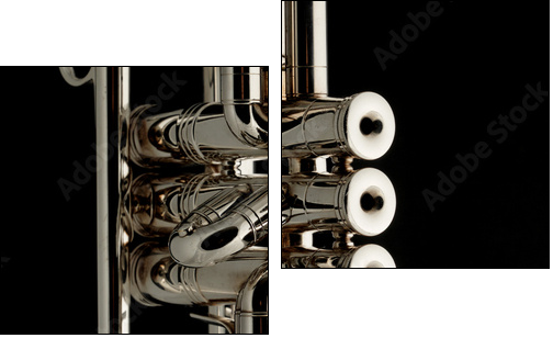 Part of trumpet  - Obraz dwuczęściowy, Dyptyk