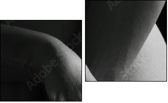 nu artistique femme noir et blanc mains  - Obraz dwuczęściowy, Dyptyk