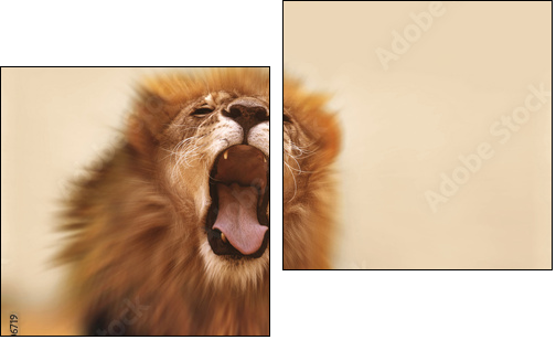 Lion  - Obraz dwuczęściowy, Dyptyk