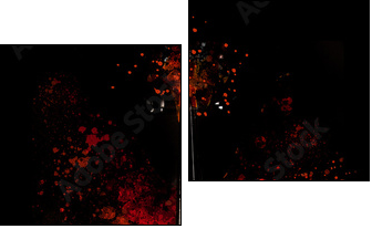 Violin is exploding - dispersion effect -  - Obraz dwuczęściowy, Dyptyk