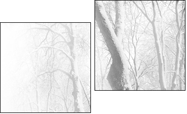 Zima – parkowa ławka pod śniegiem
 - Obraz dwuczęściowy, Dyptyk