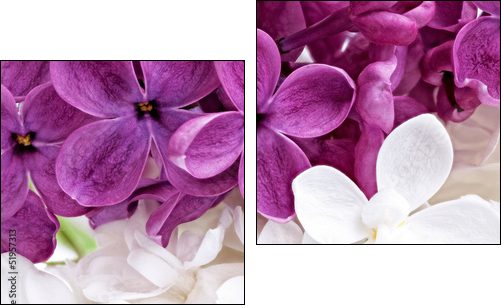 Beautiful Bunch of violet and white Lilac  - Obraz dwuczęściowy, Dyptyk