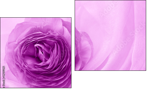 flower petal on soft satin  - Obraz dwuczęściowy, Dyptyk