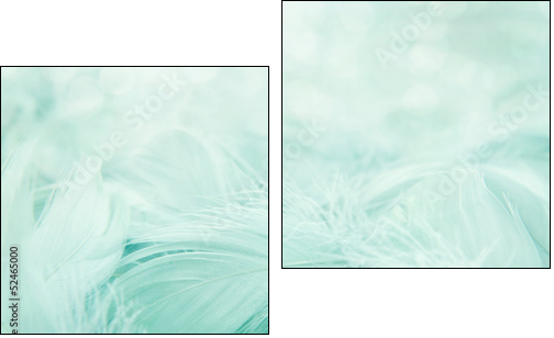 Soft fluffy feathers  - Obraz dwuczęściowy, Dyptyk