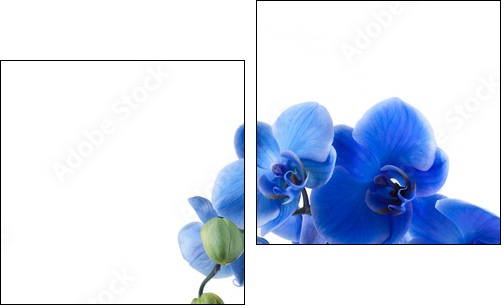 ramo de orquÃ­dea y reflejo en el agua  - Obraz dwuczęściowy, Dyptyk