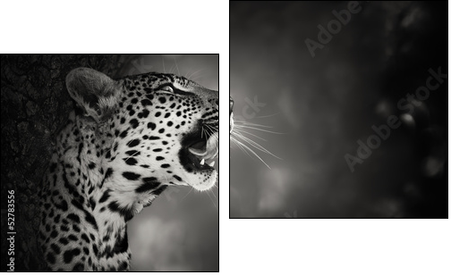 Leopard portrait  - Obraz dwuczęściowy, Dyptyk
