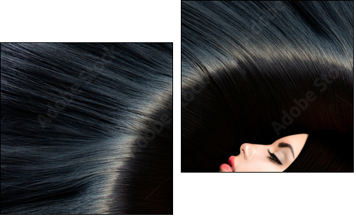 Healthy Long Black Hair. Beauty Brunette Woman  - Obraz dwuczęściowy, Dyptyk