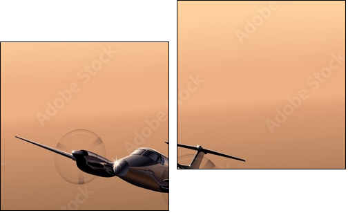Civil utility aircraft  - Obraz dwuczęściowy, Dyptyk