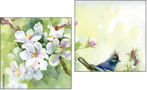 Painting collection Birds of spring  - Obraz dwuczęściowy, Dyptyk