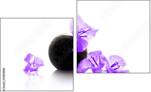 Composition zen avec bougainvillÃ©e violette  - Obraz dwuczęściowy, Dyptyk