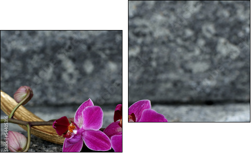 OrchideenblÃ¼te in einer Palmblattschale  - Obraz dwuczęściowy, Dyptyk