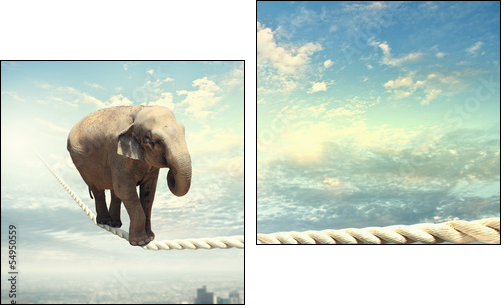 Elephant walking on rope  - Obraz dwuczęściowy, Dyptyk