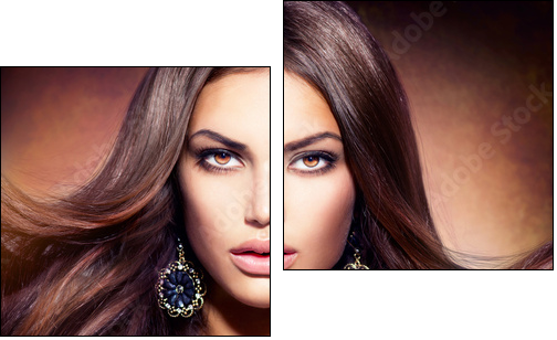 Glamour Beautiful Woman with Blowing Brown Hair  - Obraz dwuczęściowy, Dyptyk
