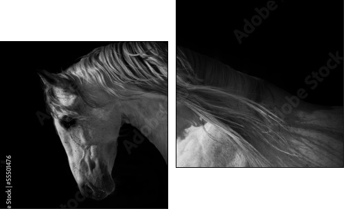 horse portrait on a dark background  - Obraz dwuczęściowy, Dyptyk