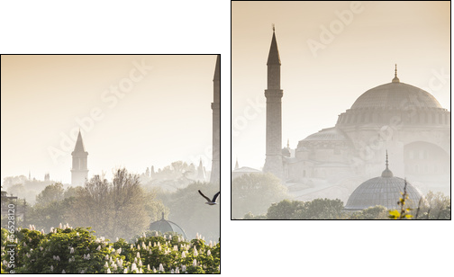 Sultanahmet Camii / Blue Mosque, Istanbul, Turkey  - Obraz dwuczęściowy, Dyptyk